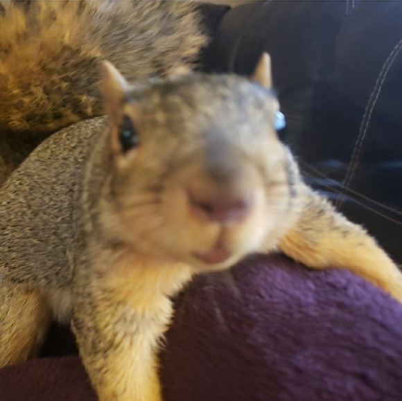 🌞1/31 Please See Update In Comments Gang! 🫶Happy Groundhogs Day! - Picture 11 of 16